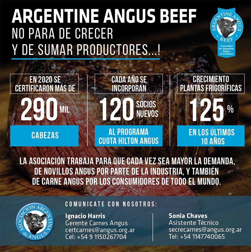 Angus certificó en 2020 más de 290 mil cabezas para exportación