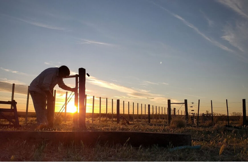 Según un informe privado, el campo generó USD 1 de cada USD 4 del PBI de la Argentina en 2021