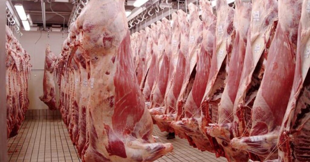 Con una fuerte retracción de China, las exportaciones uruguayas de carne vacuna cayeron 27% en agosto