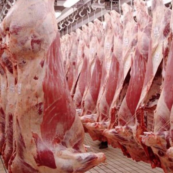 Piden que China habilite más plantas para la exportación de carne y activar el acuerdo sanitario de menudencias