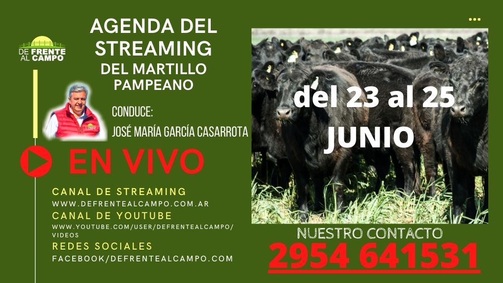 Agenda del Streaming en el Martillo Pampeano del 23 al 25/Junio