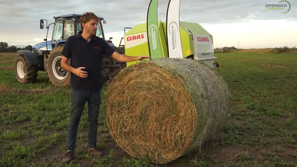 La alfalfa, estrella de la jornada forrajera de Claas