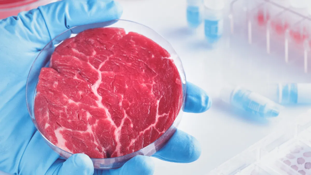 Future Meat Technologies lanza la primera planta de producción de carne cultivada industrial del mundo – 5.000 hamburguesas cultivadas  al día