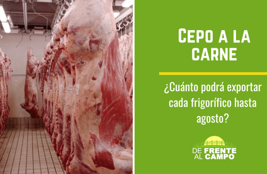 Cepo a la carne: cuánto podrá exportar cada frigorífico hasta agosto