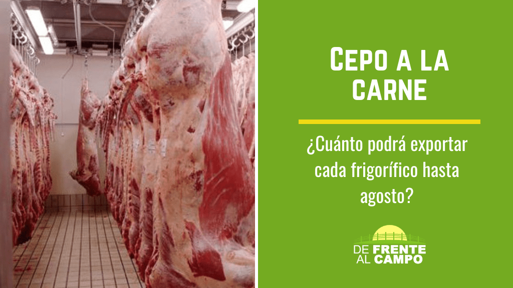 Cepo a la carne: cuánto podrá exportar cada frigorífico hasta agosto