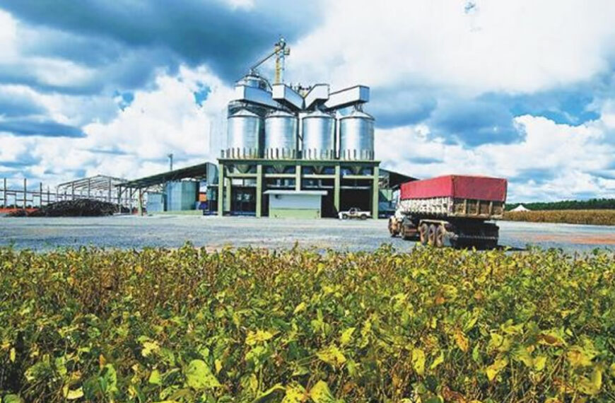 Cuáles son las cuatro principales fábricas de fertilizantes en Argentina