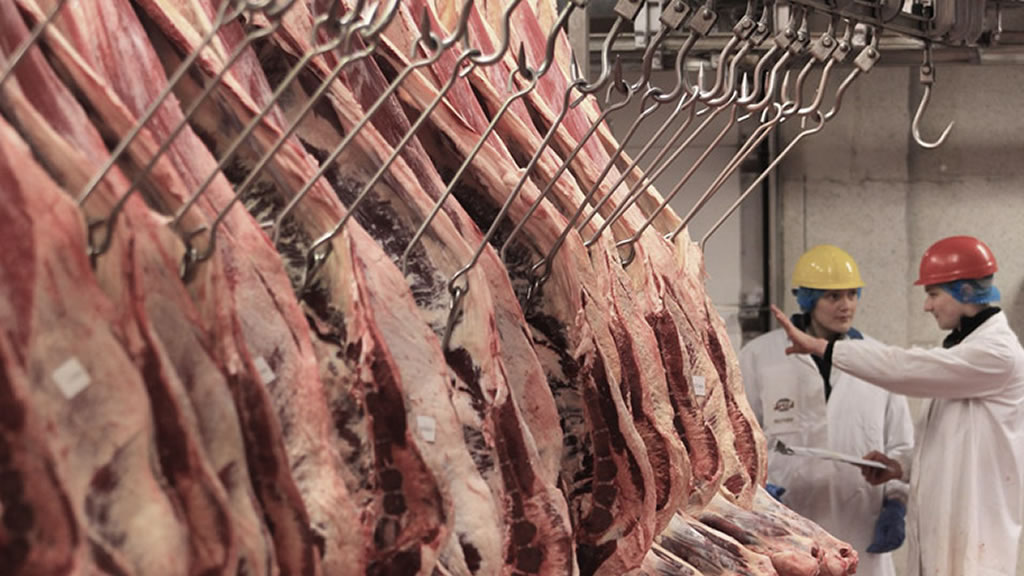 Por la gripe aviar, las exportaciones de carne del sector cayeron 35% en dólares