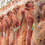 EE.UU. cuadruplicó la cuota de importación de carne argentina: una oportunidad para los frigoríficos pampeanos