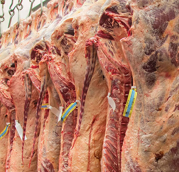Suspenden exportaciones a México desde 10 frigoríficos argentinos por fallas sanitarias