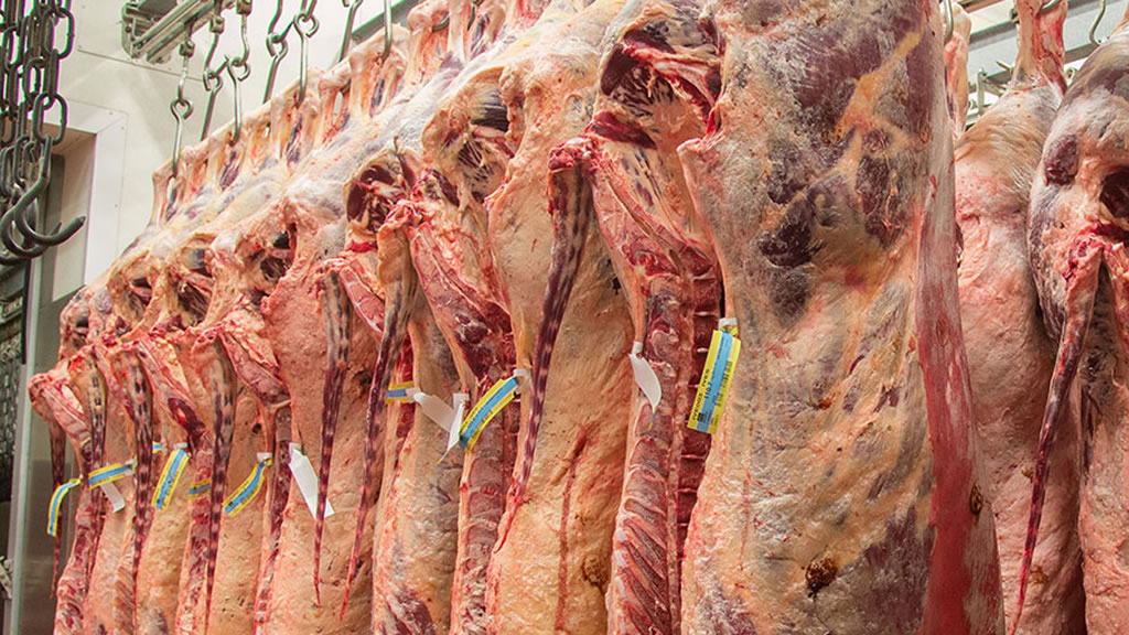 La Argentina exporta menos carne de la que se cree. Y consume más