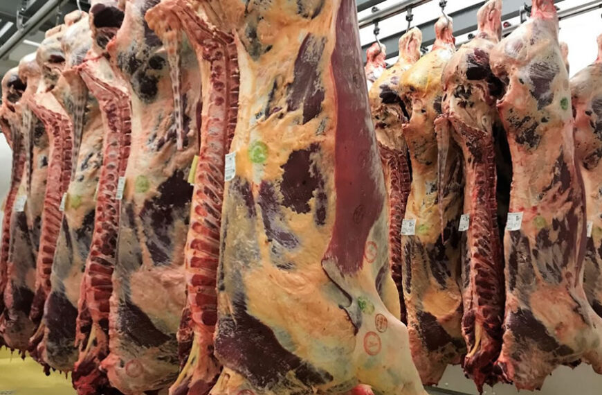 Cuáles son los desafíos para la exportación de carne vacuna en el 2024