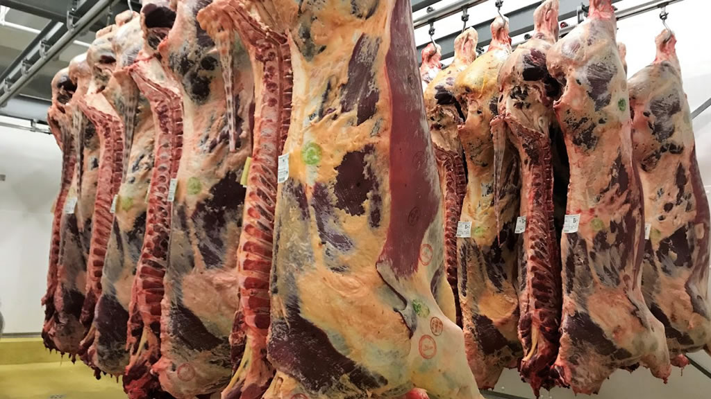 Las PASO y las exportaciones de carne