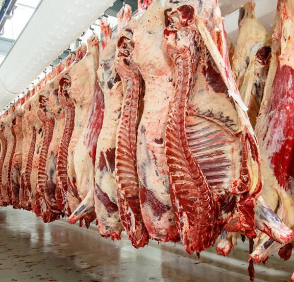 Dato alentador: en abril la carne vacuna quedó 4,3 puntos por debajo de la inflación y el cerdo dio una sorpresa