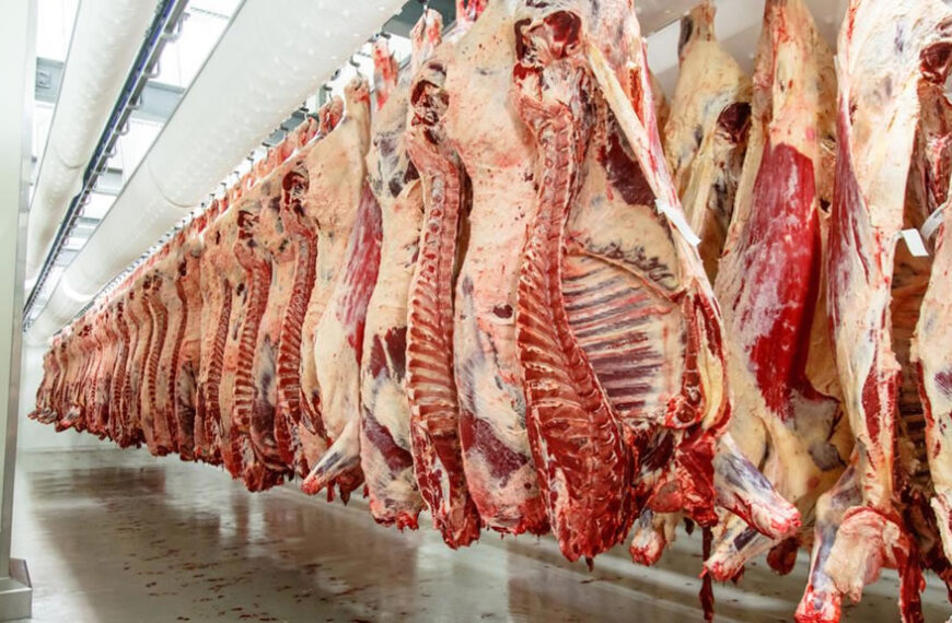 Los frigoríficos y el consumo de carne: “No debe preocuparnos un leve retroceso”