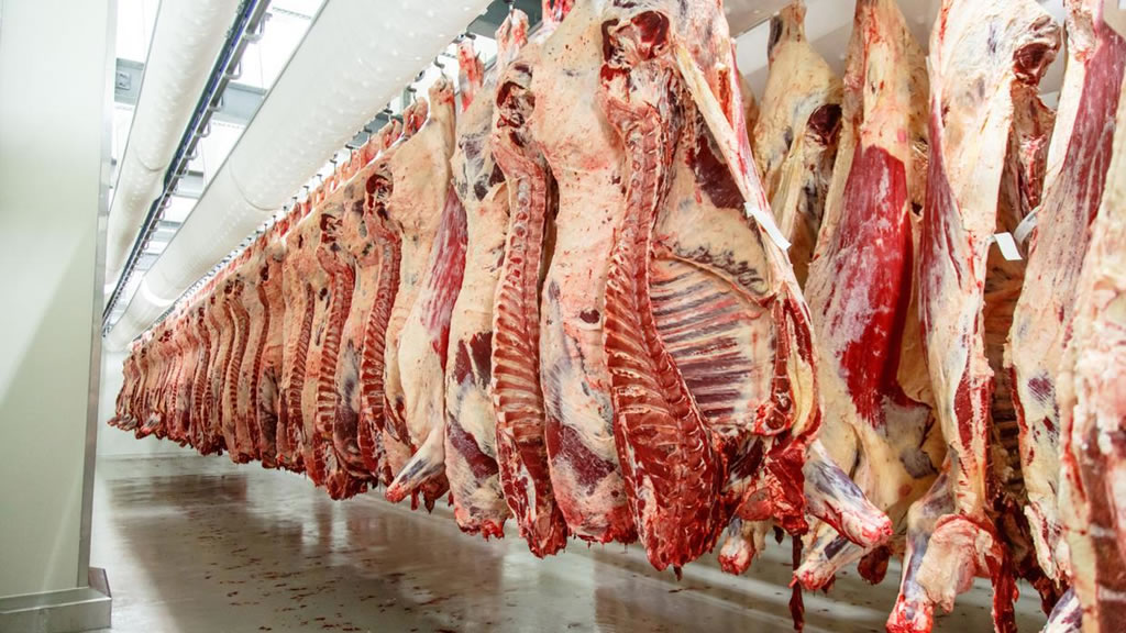 Las dudas sobre el escenario mundial del negocio de la carne, en los medios