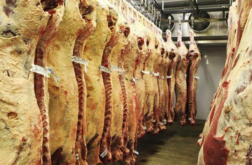 Remates ganaderos: exportadores ponen la lupa en los altos precios y buscan diálogo con consignatarios