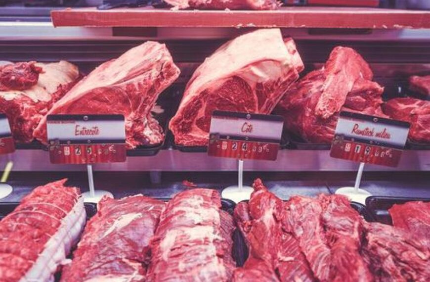 Oposición de varias organizaciones ganaderas y cárnicas holandesas a un impuesto a la carne