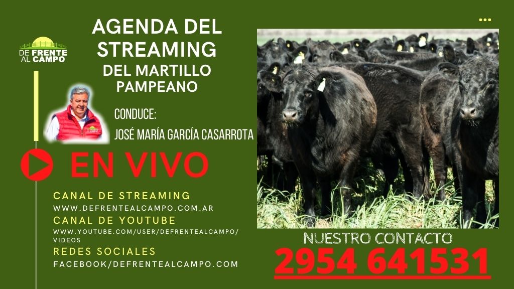 Agenda del Streaming en el Martillo Pampeano