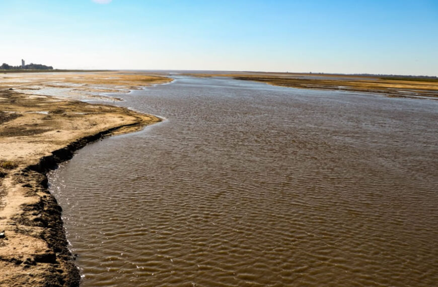 Cómo impactará la bajante del río Paraná en el agro y en el ambiente