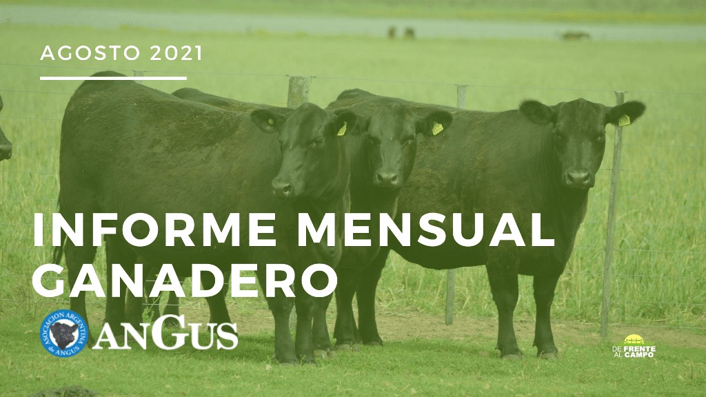 Informe Mensual Asociación Argentina de Angus Agosto 2021