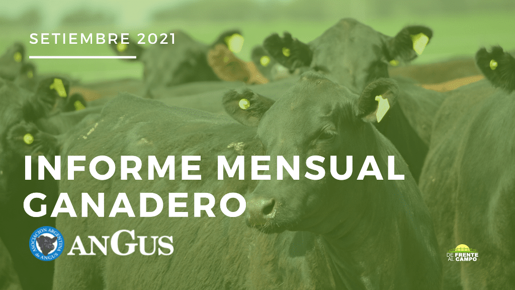 Informe Mensual Asociación Argentina de Angus Setiembre 2021