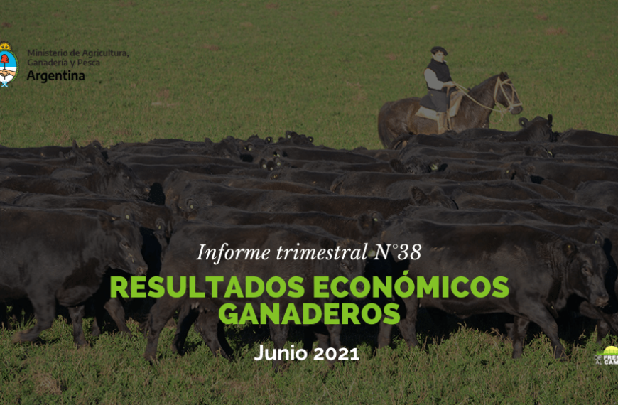 Resultados Económicos Ganaderos – Informe trimestral N°38 / Junio 2021