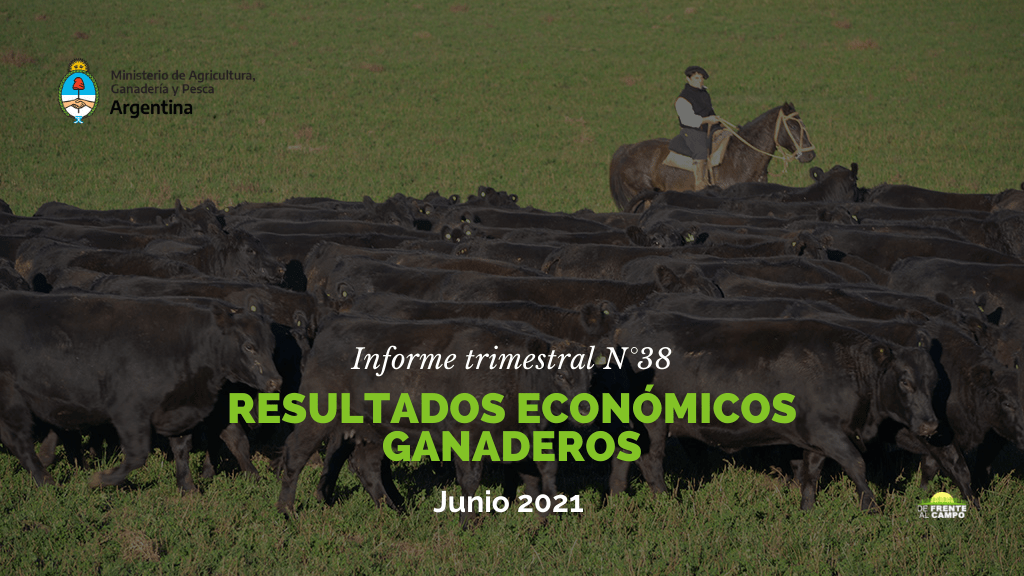 Resultados Económicos Ganaderos – Informe trimestral N°38 / Junio 2021