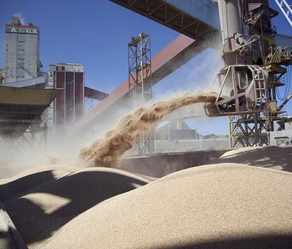 Alerta roja: Se derrumbaron las ventas de soja 2023/24 y se extiende la preocupación en el gobierno