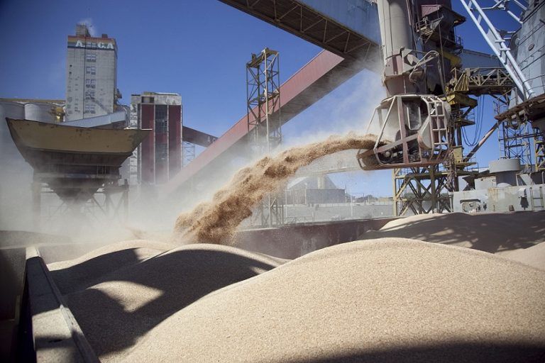 Los exportadores ante la suba de retenciones: “Pone fin a los fideicomisos de maíz, trigo y aceite”