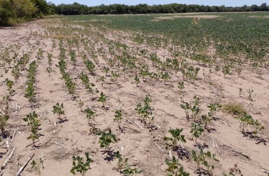 Simplifican el acceso al sistema de emergencia agropecuaria