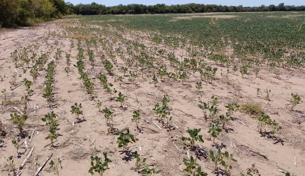 Simplifican el acceso al sistema de emergencia agropecuaria