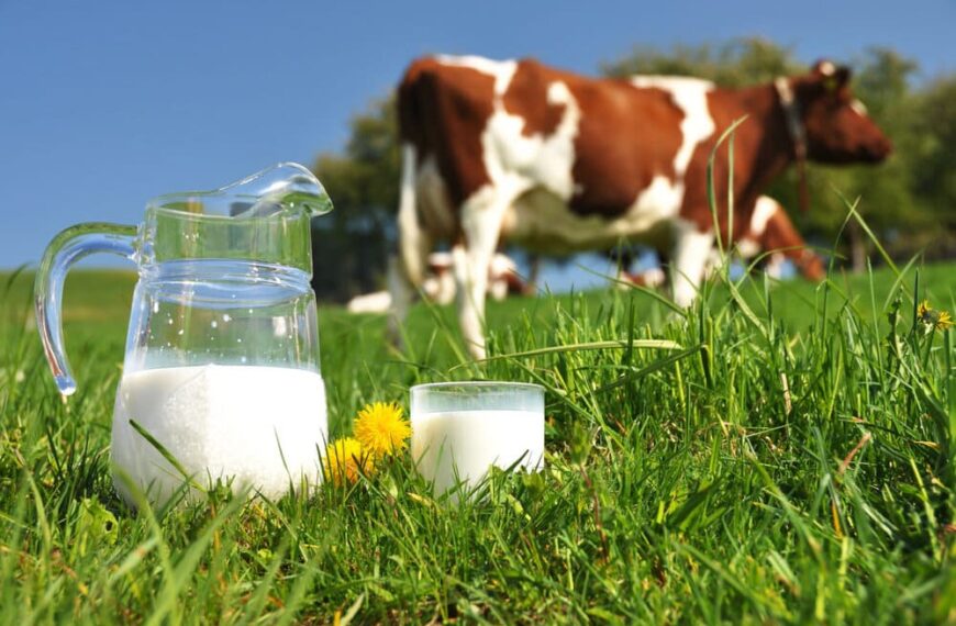 Continúa en baja la producción nacional de leche