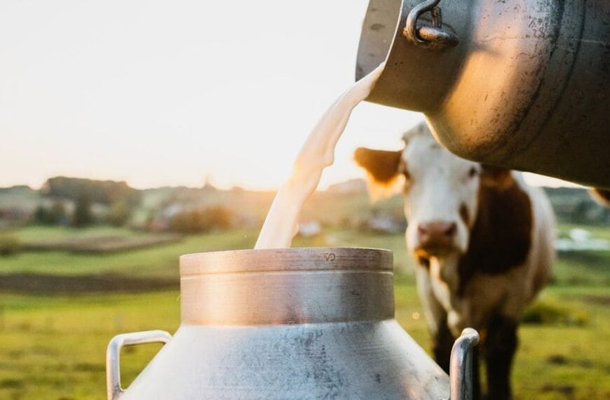 Los precios de la leche tendrán actualización de valores promedio a mes cerrado
