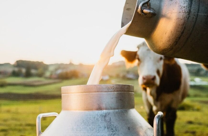 Rentabilidad. Se recupera el valor de la leche pero no llega al precio de equilibrio para el productor