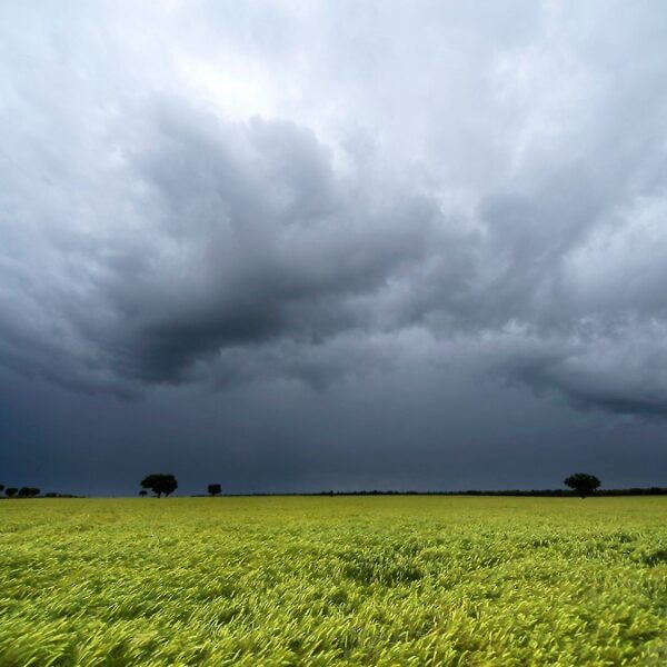 Ausencia de lluvias en el horizonte: qué dice el pronóstico para el agro luego de la recarga (despareja) de agua