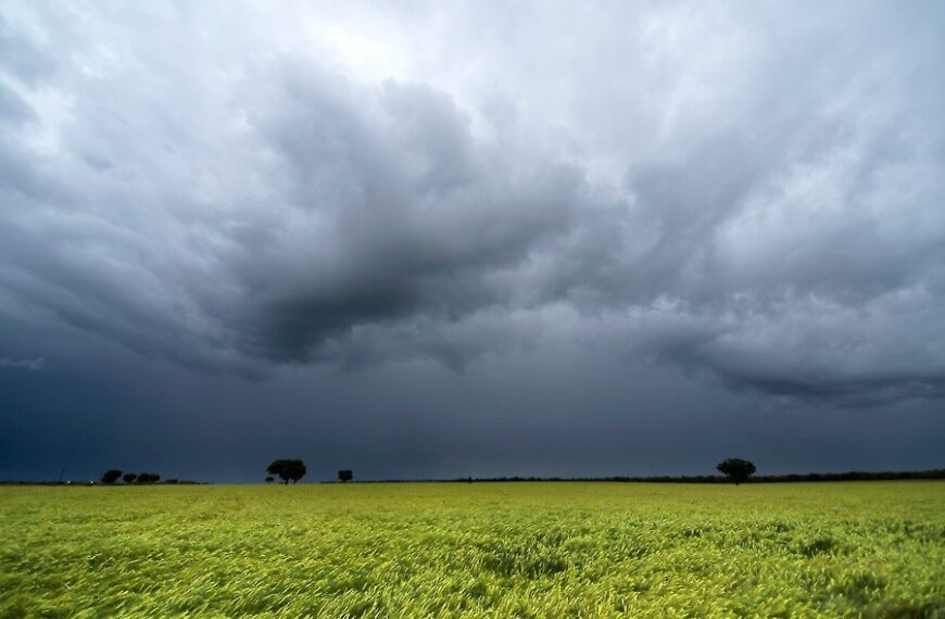 Tras las lluvias, destacan “sustanciales cambios” en las reservas hídricas