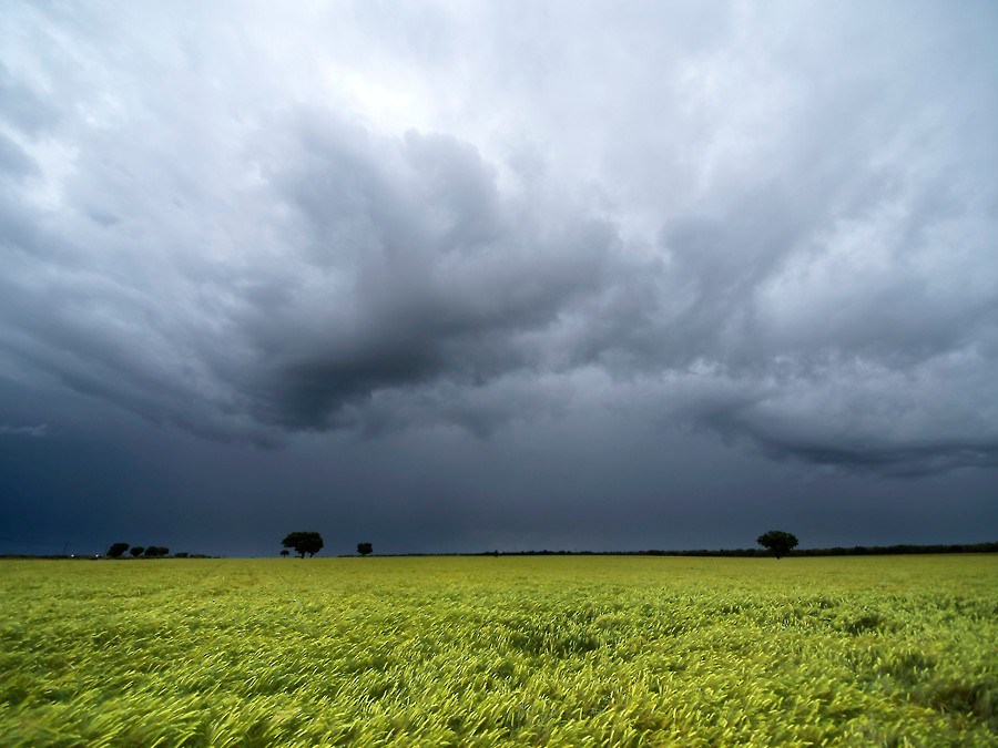 Ausencia de lluvias en el horizonte: qué dice el pronóstico para el agro luego de la recarga (despareja) de agua