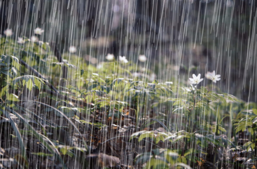 Un “Niño fuerte”: tras la sequía, los expertos aseguran que el campo tiene aseguradas las lluvias para todo el verano