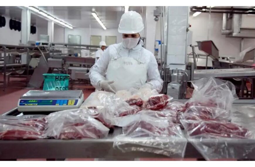 Carnes: Con las exportaciones liberadas crecieron más 19% en enero