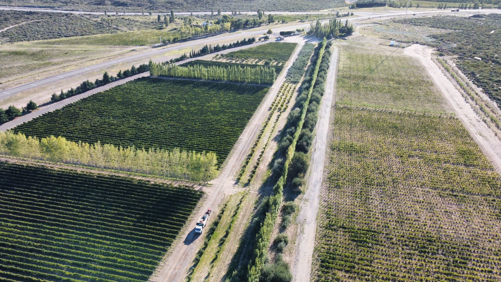 Siguen vigentes los créditos para capital de trabajo en el sector frutícola