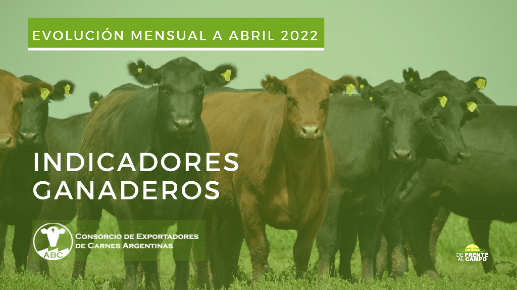 Indicadores Ganaderos – Evolución mensual a Abril 2022