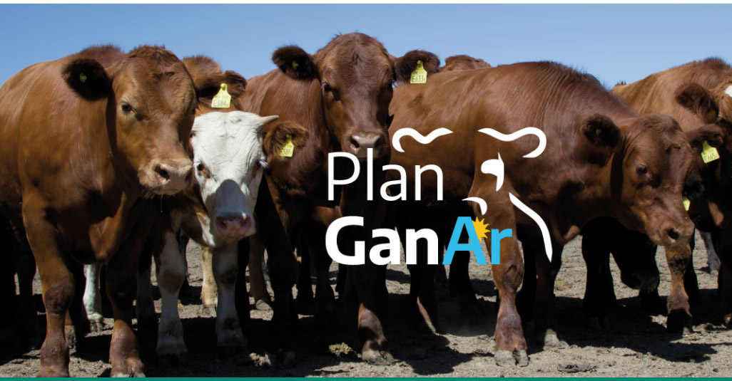 Plan GanAr: acordamos con las metas pero se requieren cambios impositivos y sanitarios