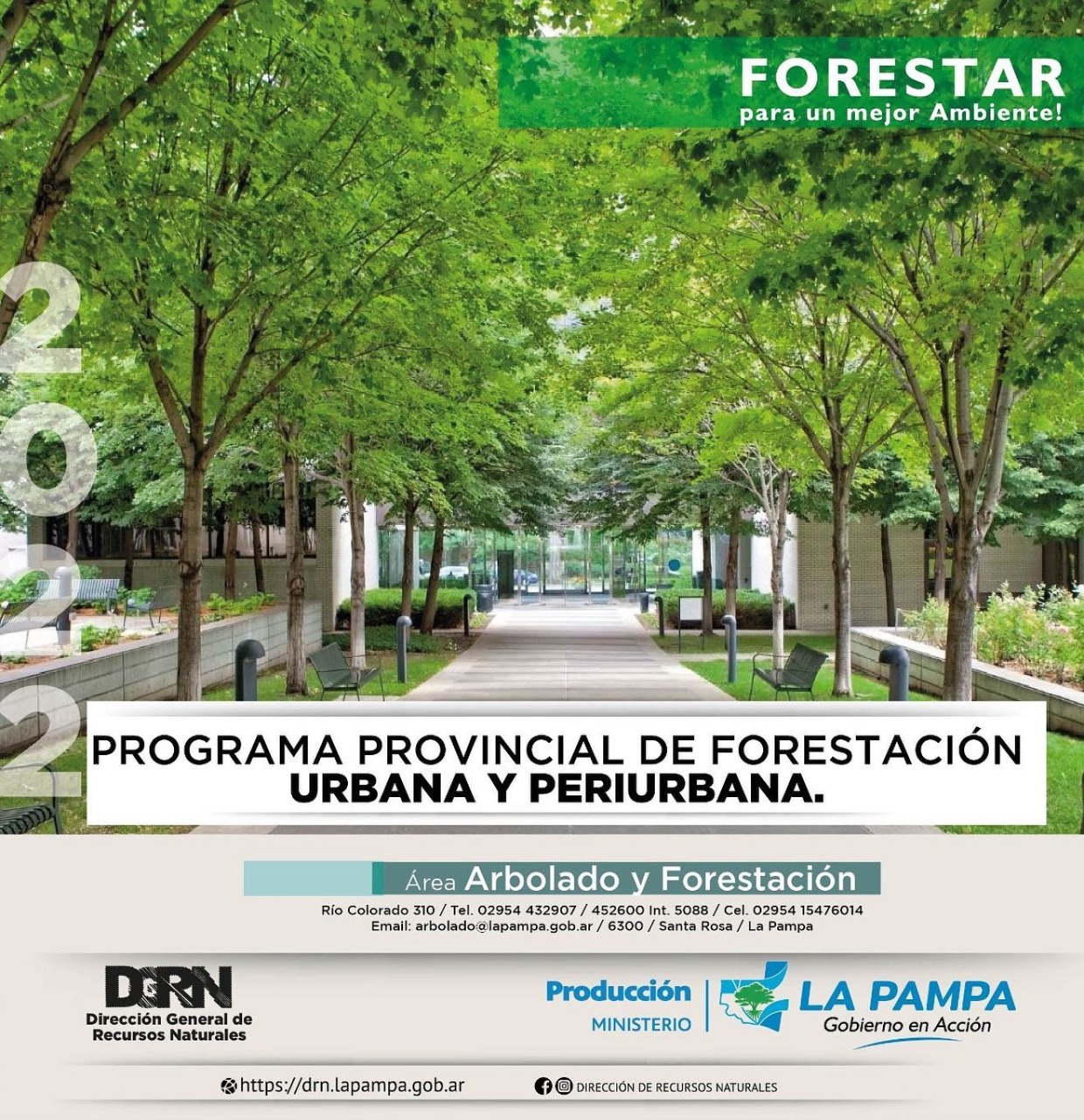 Está vigente el Programa Provincial de Forestación Urbana y Periurbana