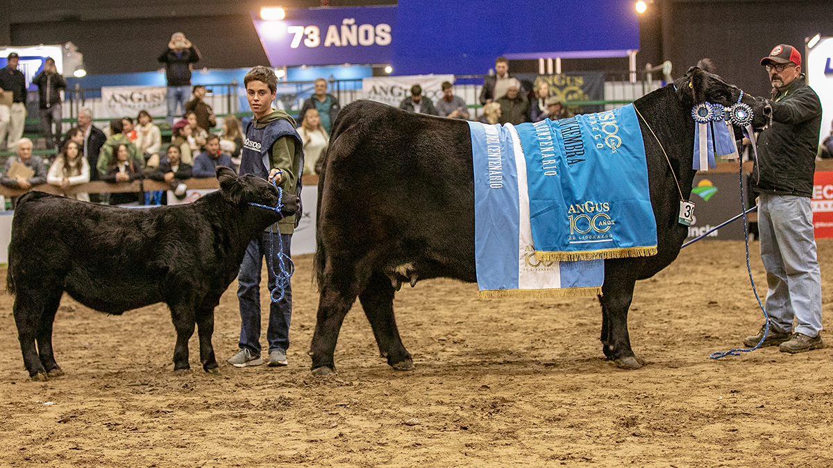 Centenario Angus: de la competitividad de la raza al reclamo por las políticas sectoriales