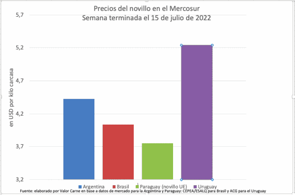 Novillo Mercosur: nuevamente Paraguay, aunque con menor precio, es el único con aumentos