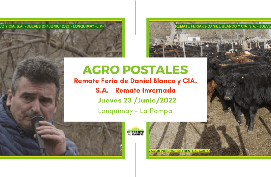 Álbum Remate Feria de Daniel Blanco y CIA. S.A. – Remate Invernada- Lonquimay – La Pampa – 23 /06/2022