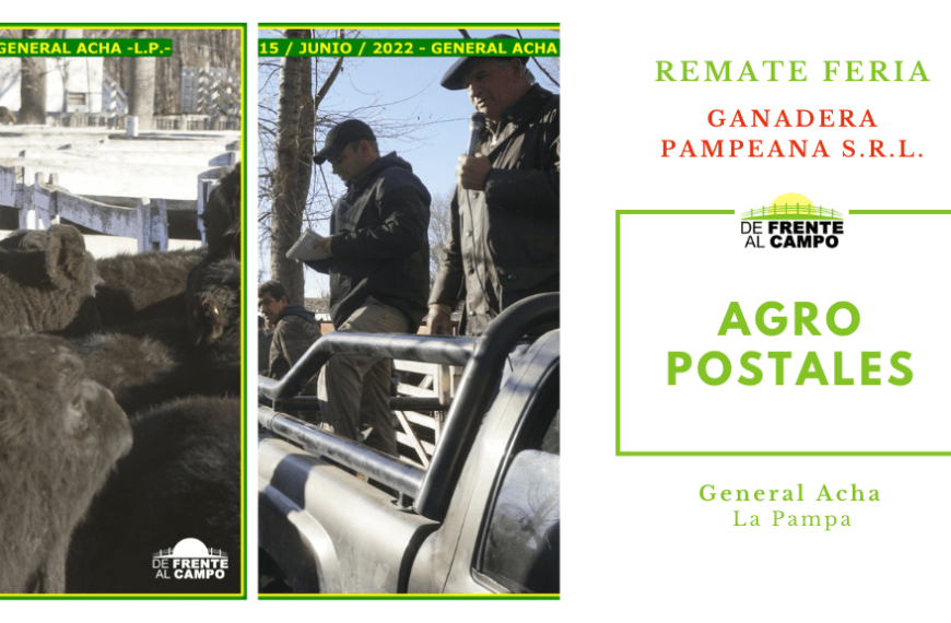 Álbum Remate Feria de Ganadera Pampeana S.R.L. – General Acha – La Pampa – 15 /06/2022