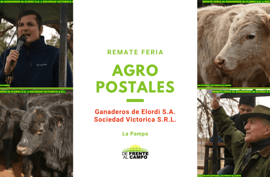 Álbum Remate Feria de Ganaderos de Elordi S.A. y Sociedad Victorica S.R.L. – La Pampa – Junio/2022