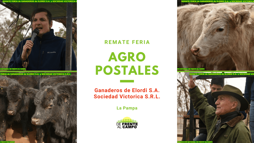 Álbum Remate Feria de Ganaderos de Elordi S.A. y Sociedad Victorica S.R.L. – La Pampa – Junio/2022