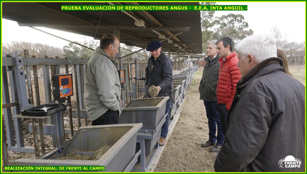 Álbum Prueba de Evaluación de Reproductores Angus – E.E.A. INTA ANGUIL – La Pampa –  Junio/2022